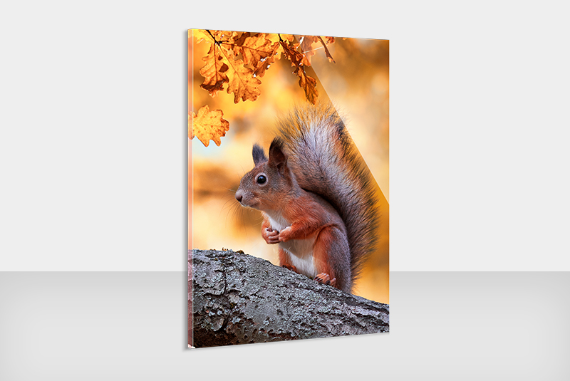 herbst_teaser_acryl_800